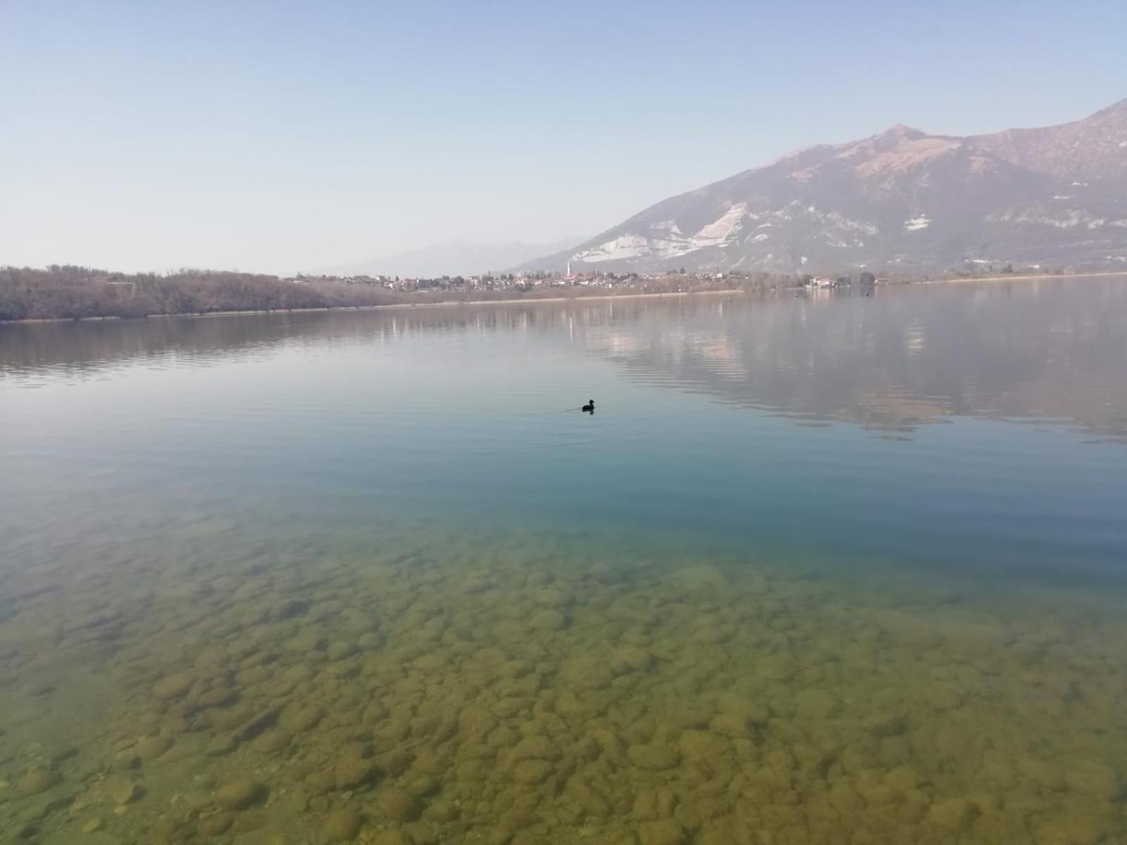 La Poesia Del Lago Oggiono Ngoại thất bức ảnh