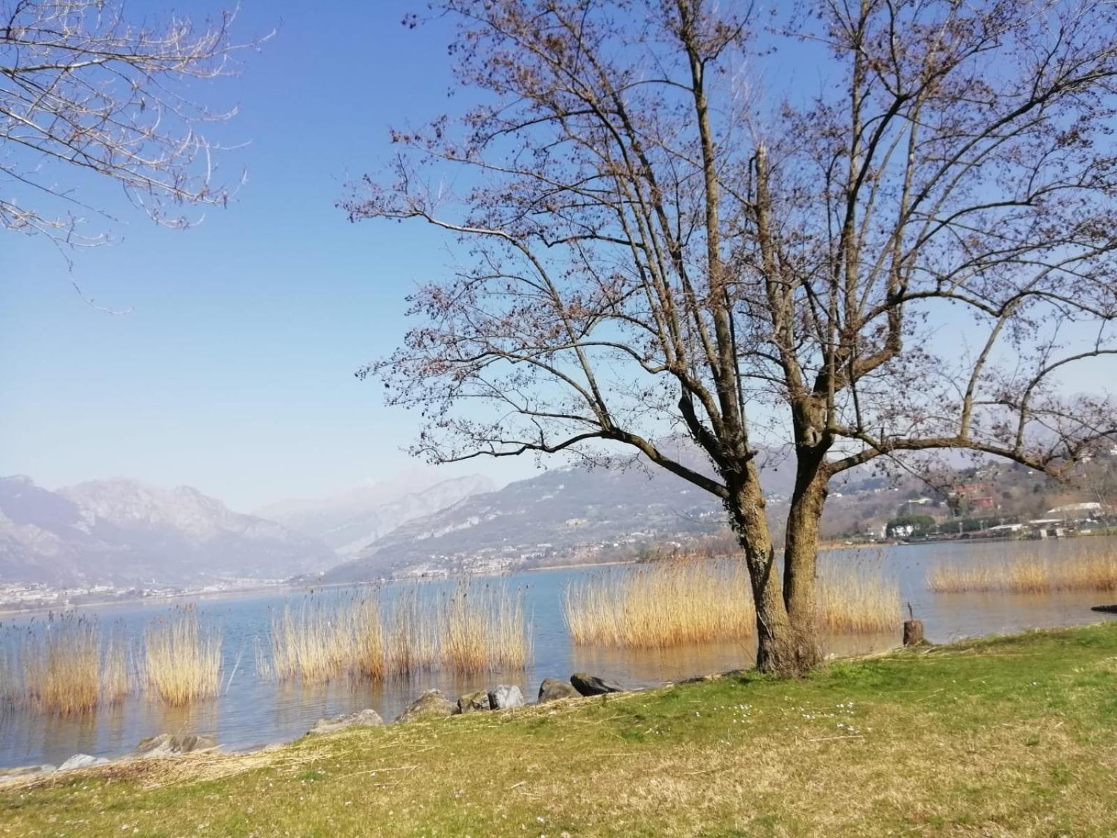 La Poesia Del Lago Oggiono Ngoại thất bức ảnh